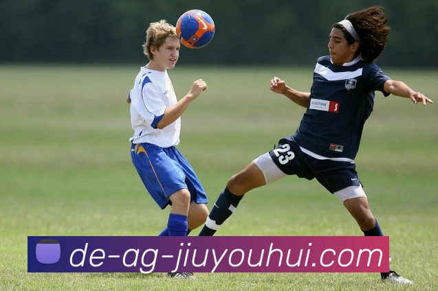 App Interface Preview